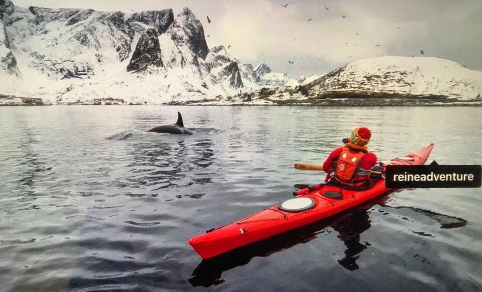 Cozy Apartment In The Middle Of Lofoten Leknes Buitenkant foto